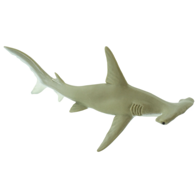 SAFARI SAFARI SHARK  HAMMERHEAD