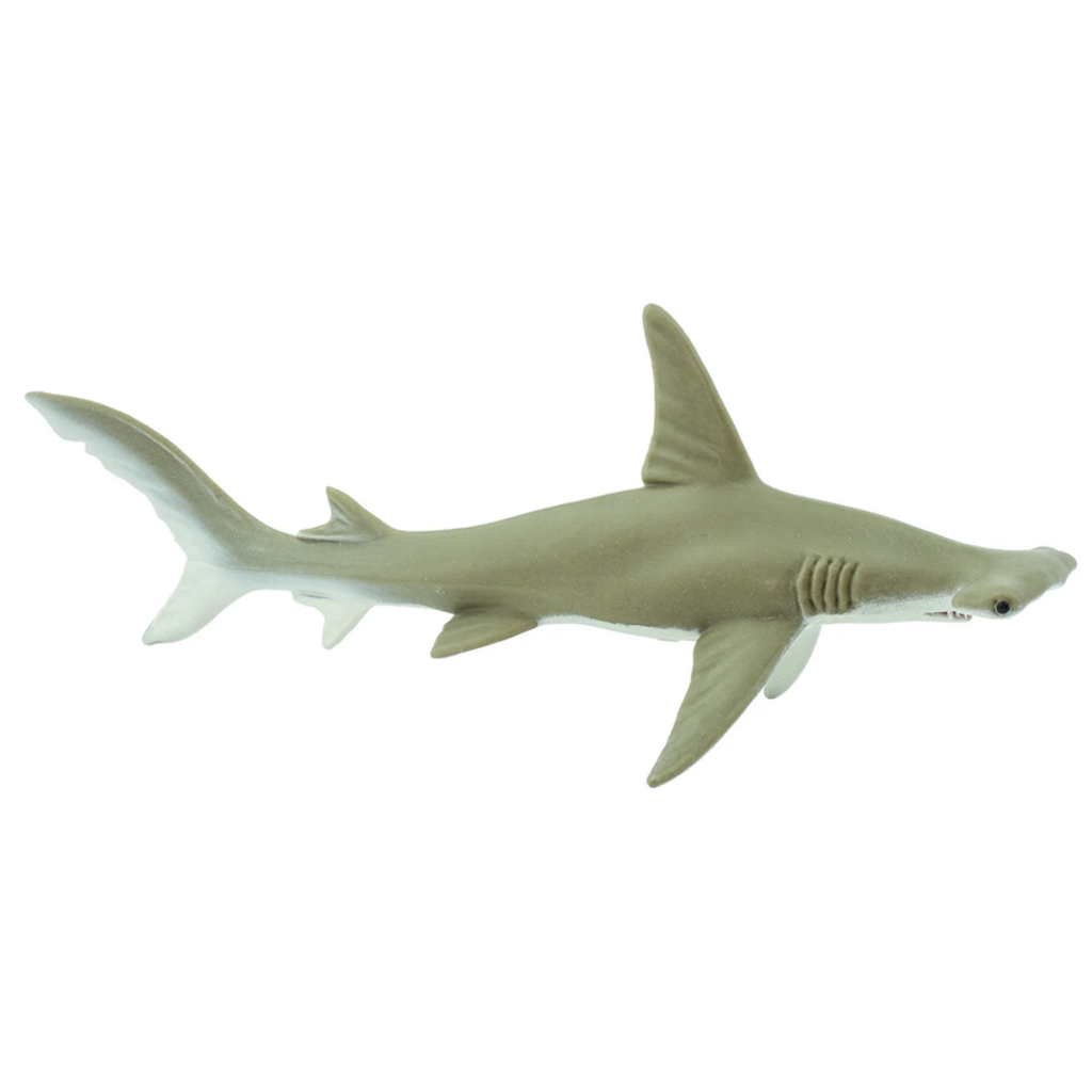 SAFARI SAFARI SHARK  HAMMERHEAD