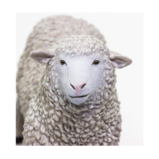 SAFARI SAFARI SHEEP WHITE