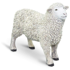 SAFARI SAFARI SHEEP WHITE