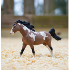 SAFARI SAFARI PINTO MUSTANG STALLION