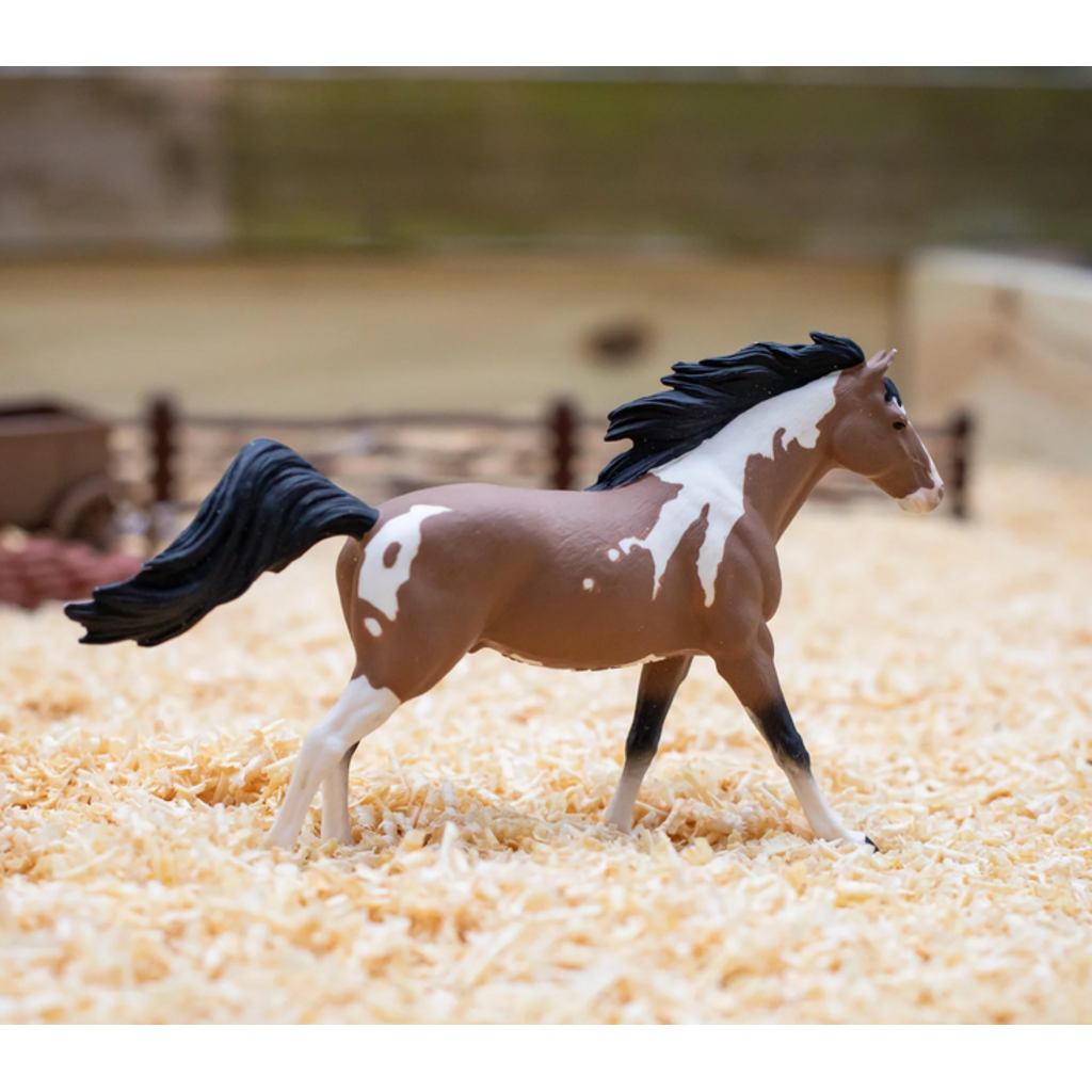 SAFARI SAFARI PINTO MUSTANG STALLION