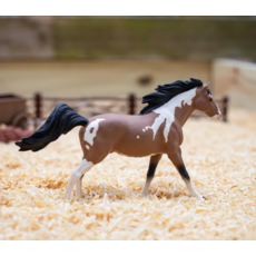 SAFARI SAFARI PINTO MUSTANG STALLION