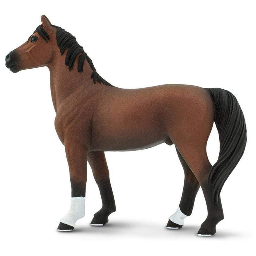SAFARI SAFARI MORGAN STALLION
