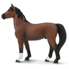SAFARI SAFARI MORGAN STALLION