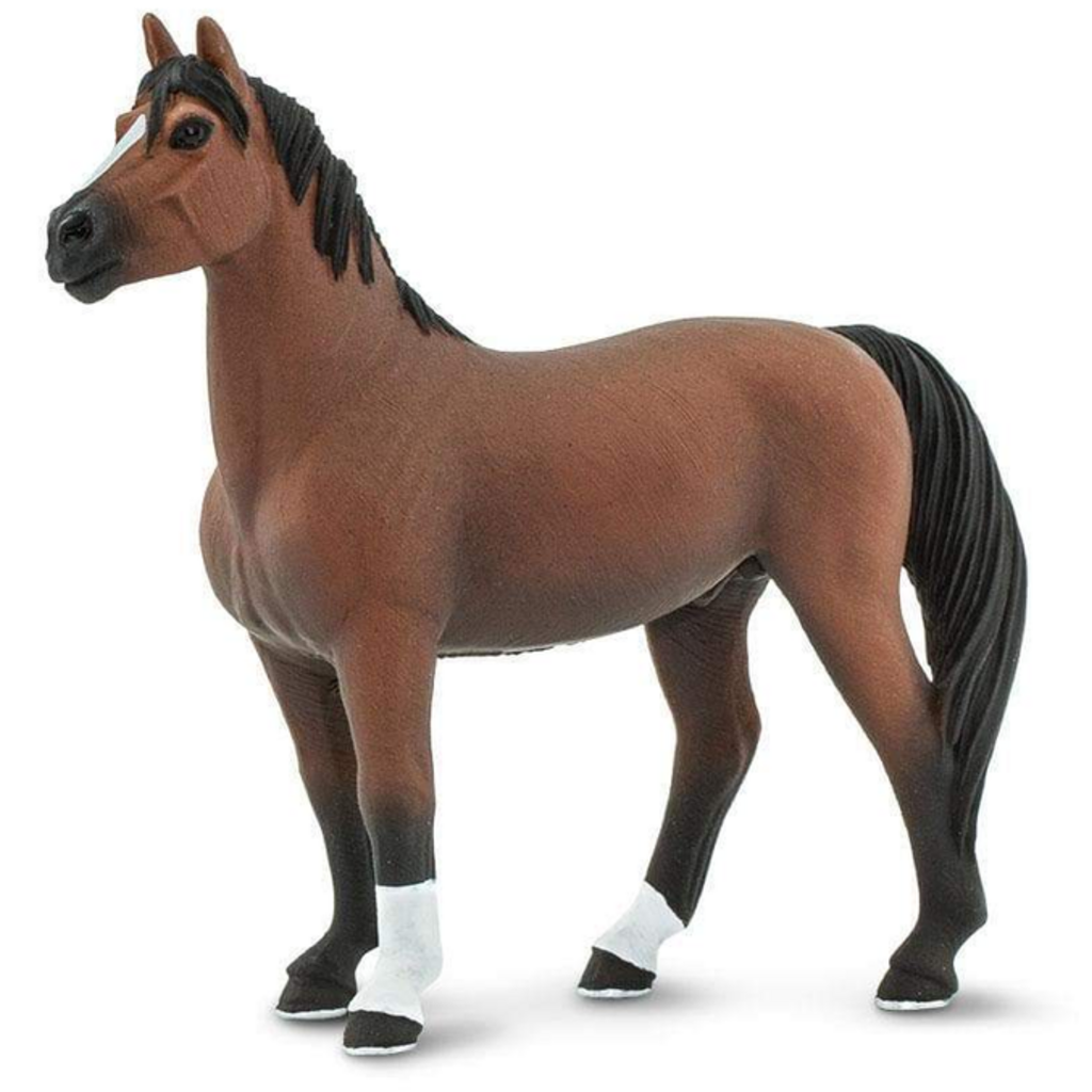 SAFARI SAFARI MORGAN STALLION