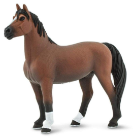 SAFARI SAFARI MORGAN STALLION