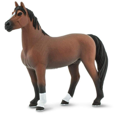 SAFARI SAFARI MORGAN STALLION
