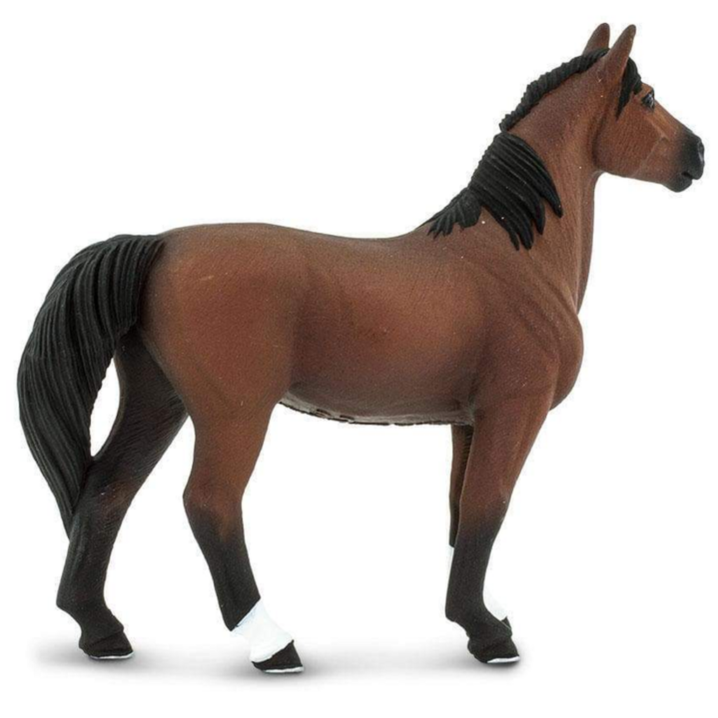 SAFARI SAFARI MORGAN STALLION