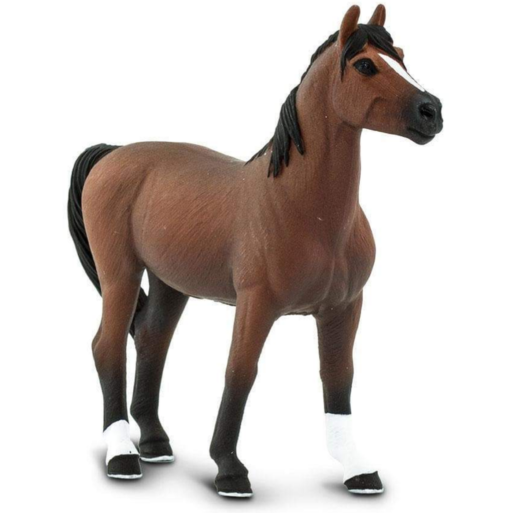 SAFARI SAFARI MORGAN STALLION