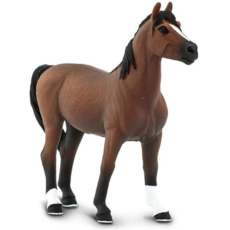 SAFARI SAFARI MORGAN STALLION
