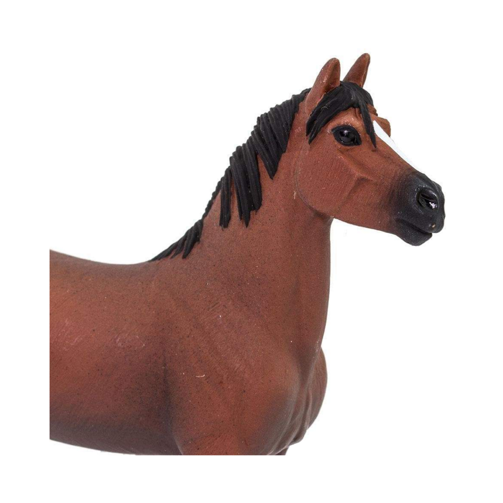 SAFARI SAFARI MORGAN STALLION