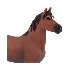 SAFARI SAFARI MORGAN STALLION