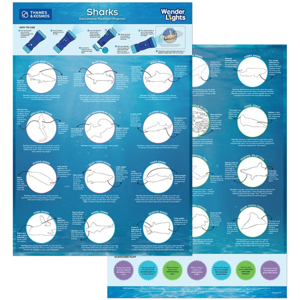 WONDER LIGHTS: SHARKS EDUCATIONAL FLASHLIGHT PROJECTOR