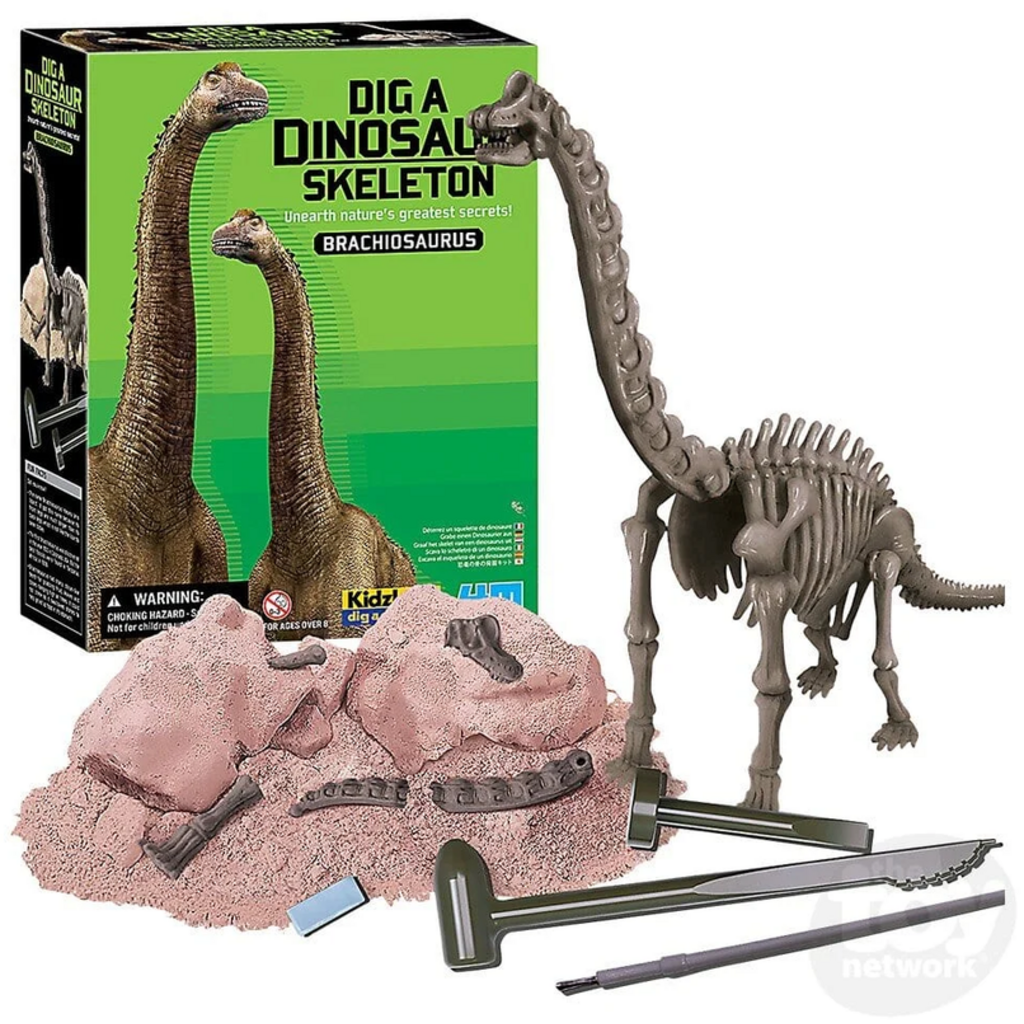 DIG A DINOSAUR SKELETON BRACHIOSAURUS