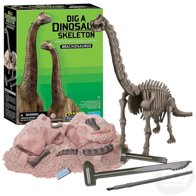 DIG A DINOSAUR SKELETON BRACHIOSAURUS