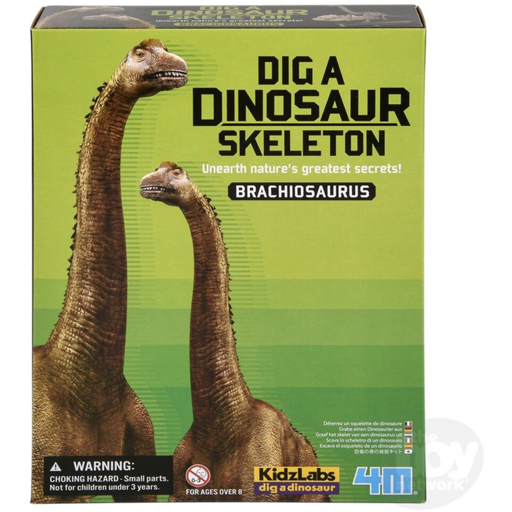 DIG A DINOSAUR SKELETON BRACHIOSAURUS