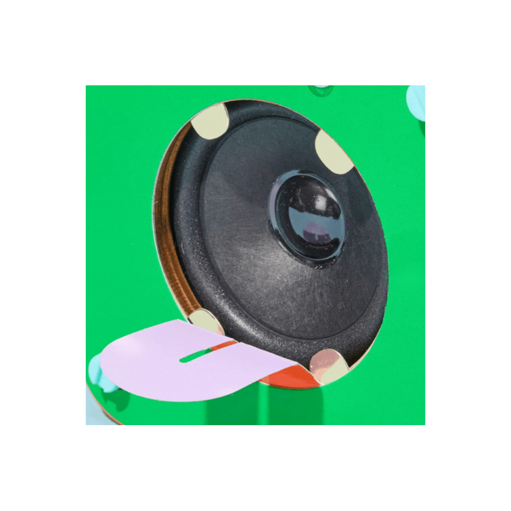 KIWICO, INC. SILLY SPEAKER KIT