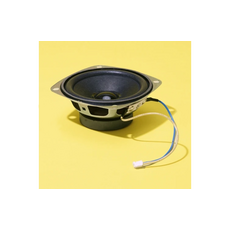 KIWICO, INC. SILLY SPEAKER KIT
