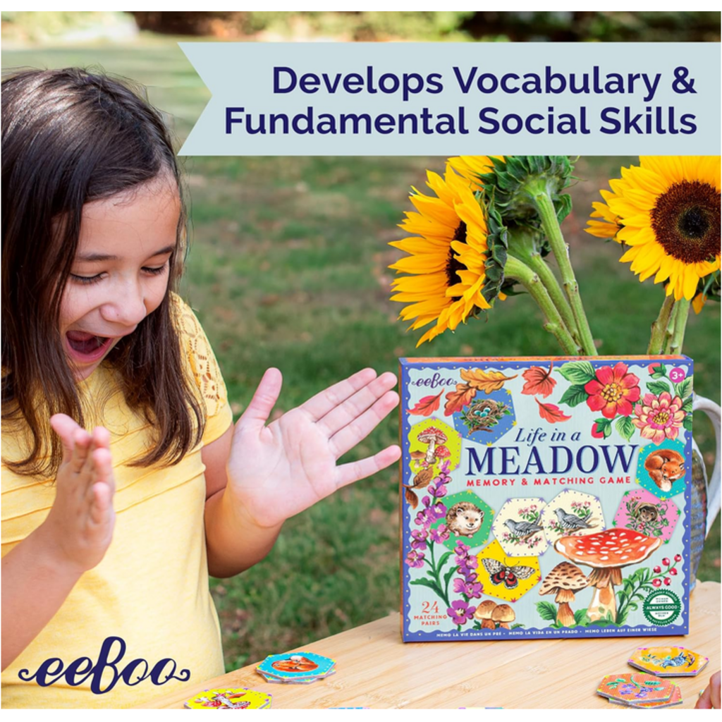 EEBOO LIFE IN A MEADOW MEMORY & MATCHING GAME
