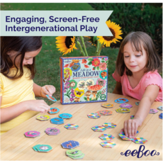 EEBOO LIFE IN A MEADOW MEMORY & MATCHING GAME