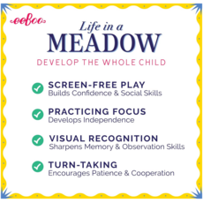 EEBOO LIFE IN A MEADOW MEMORY & MATCHING GAME