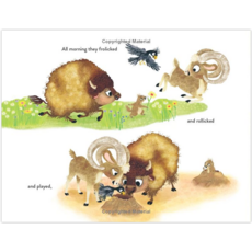RANDOM HOUSE STUDIO BUFFALO FLUFFALO AND PUFFALO HB KALB