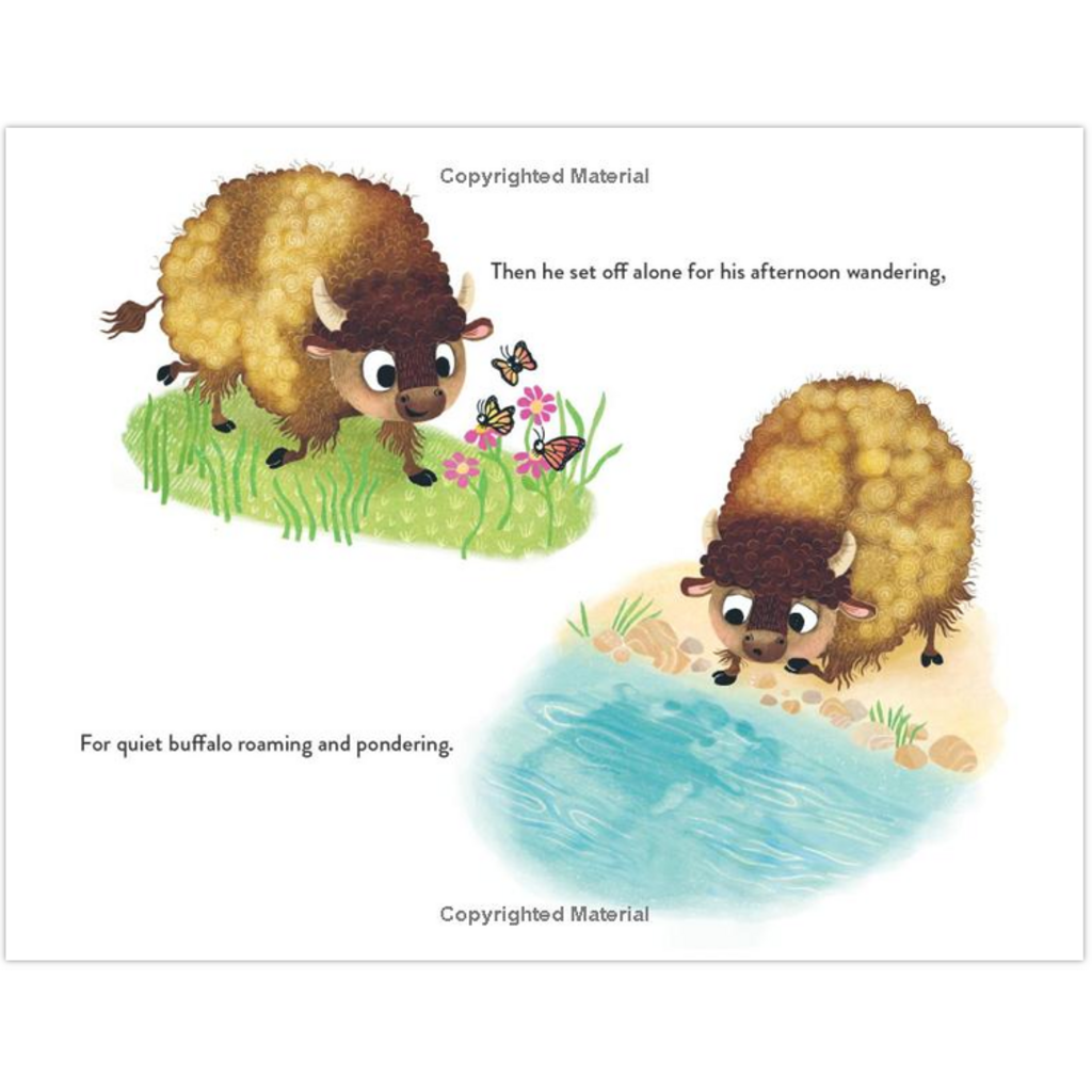 RANDOM HOUSE STUDIO BUFFALO FLUFFALO AND PUFFALO HB KALB