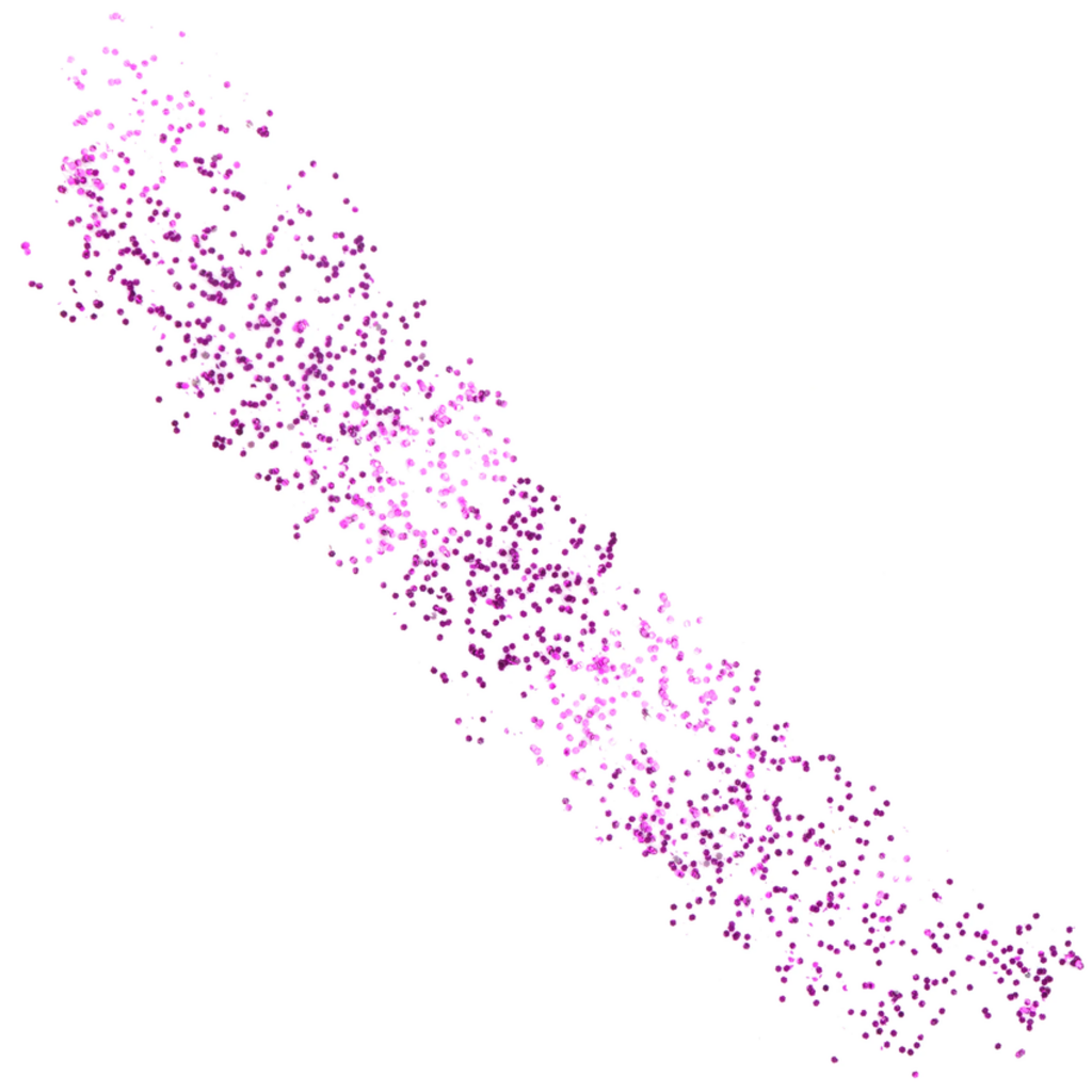 PENCIL GRIP COMPANY MESS FREE GLITTER STIX