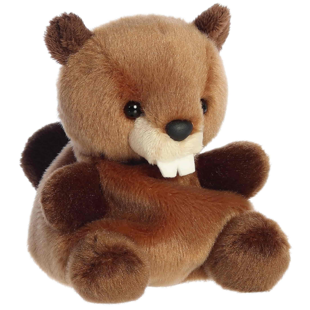 AURORA CHEWY BEAVER