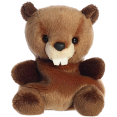 AURORA CHEWY BEAVER