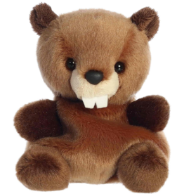AURORA CHEWY BEAVER