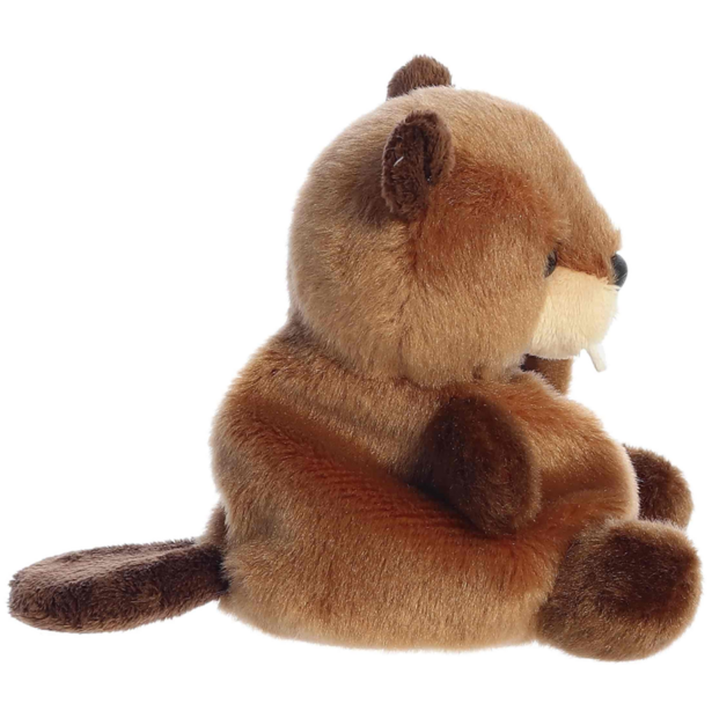AURORA CHEWY BEAVER