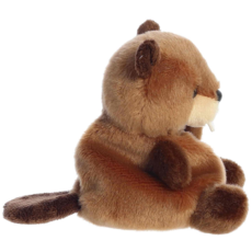 AURORA CHEWY BEAVER