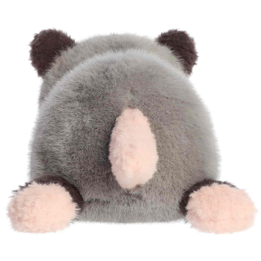 AURORA ORI OPOSSUM
