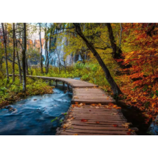 RAVENSBURGER USA AUTUMNAL FOREST PATH 1000 PC PUZZLE