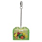 SFB-60020 Treasure Chest Small Assorted Colors 10.5" X 4"