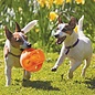 KONG Kong Jumbler Ball Medium/Large Dog Toy Assorted Colors