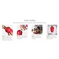 KONG KONG Classic Dog Toy Red Medium