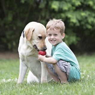 KONG KONG Classic Dog Toy Red Small