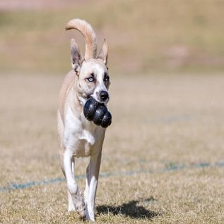 KONG Extreme Dog Toy Black X-Large