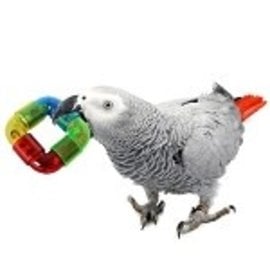 SUPER BIRD CREATIONS Superbird Creations SB-906 Rattler Ring Foot Toy 2.75" x 1"