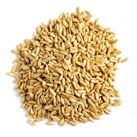 ABBA PRODUCTS OATS GROATS 2# Bulk