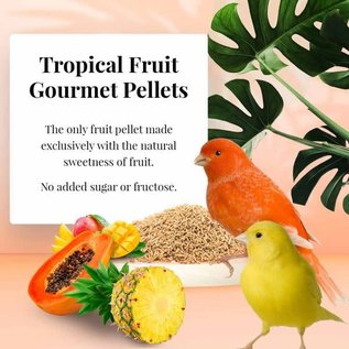 LAFEBER COMPANY Lafeber Tropical Fruit Gourmet Canary Pellets 1.25lb