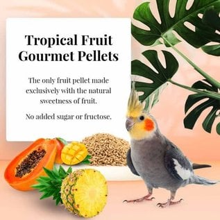 LAFEBER COMPANY Lafeber Tropical Fruit Gourmet Cockatiel Pellets 1.25lb