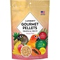 LAFEBER COMPANY Lafeber Tropical Fruit Gourmet Conure Pellets 1.25lb