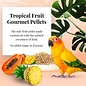 LAFEBER COMPANY Lafeber Tropical Fruit Gourmet Conure Pellets 1.25lb