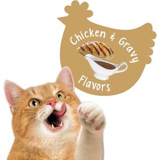 Friskies Party Mix Gravylicious Crunch Chicken & Gravy Cat 20 oz Jar