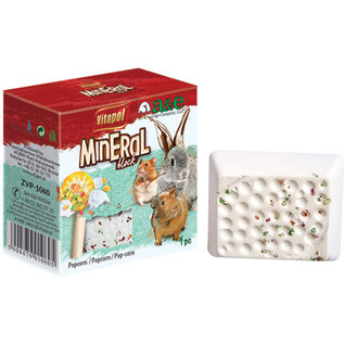 A&E CAGE COMPANY A & E Cages VitaPol Lime/Mineral Block for Small Animals Popcorn 1ea/40 g