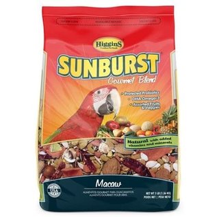 HIGGINS Higgins Sunburst Macaw 3 #